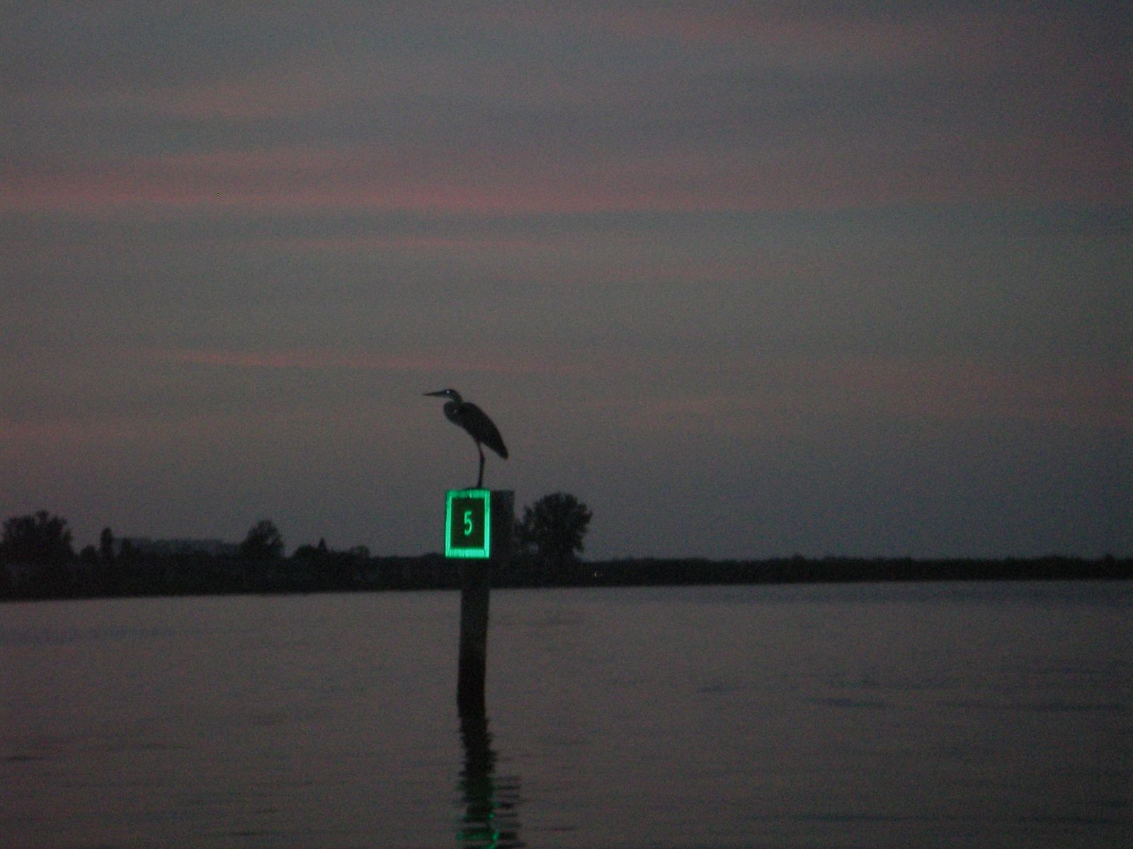 Rest a light after a hookup and rotate six to ten docks.