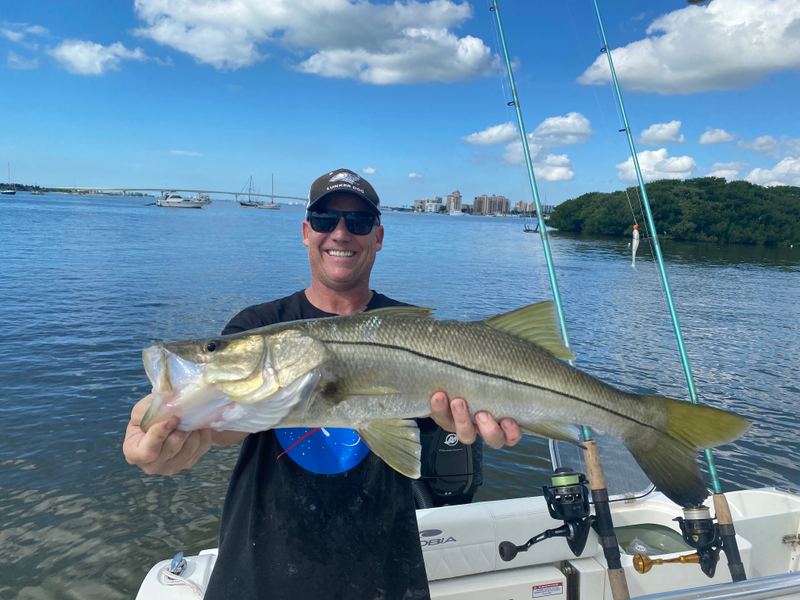 A big snook held up on a boat with a causeway span, anchored sailboats and downtown high-rises across the water behind