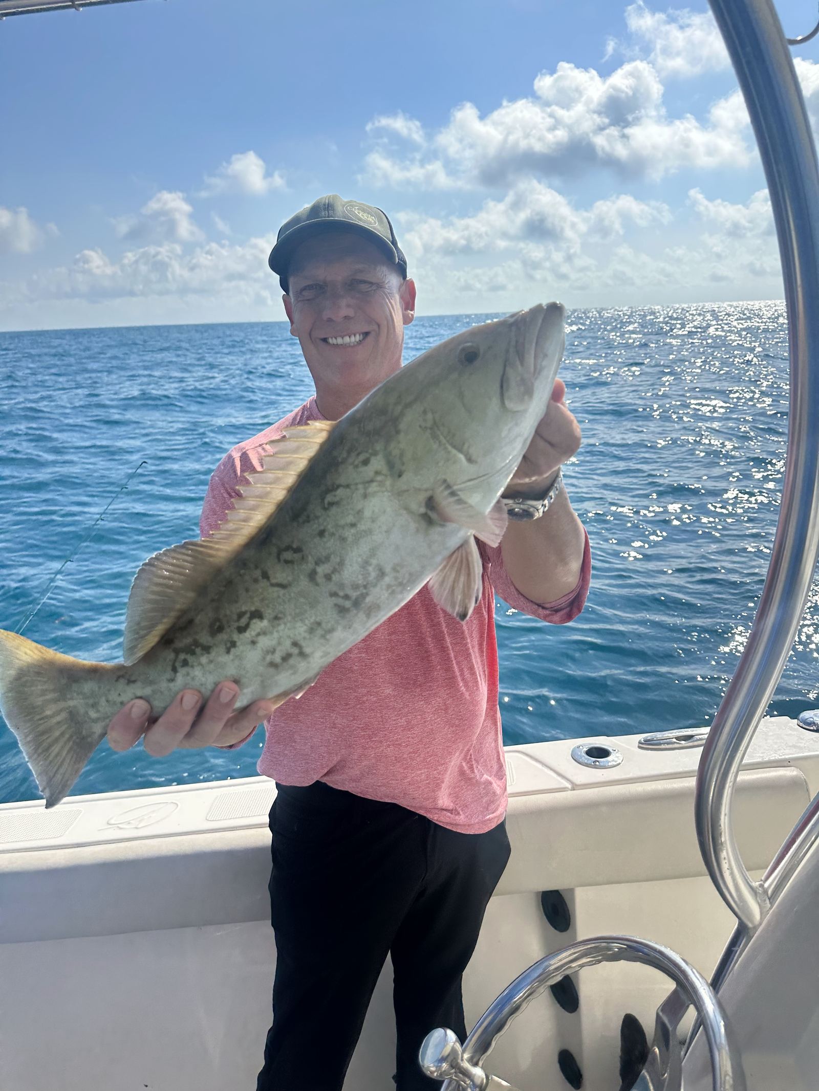A gag grouper coming up from the reef