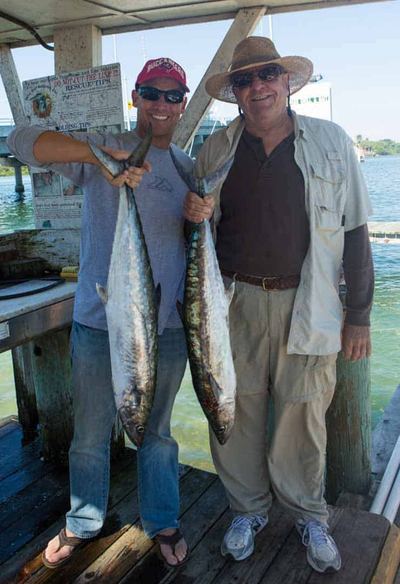 King Mackerel