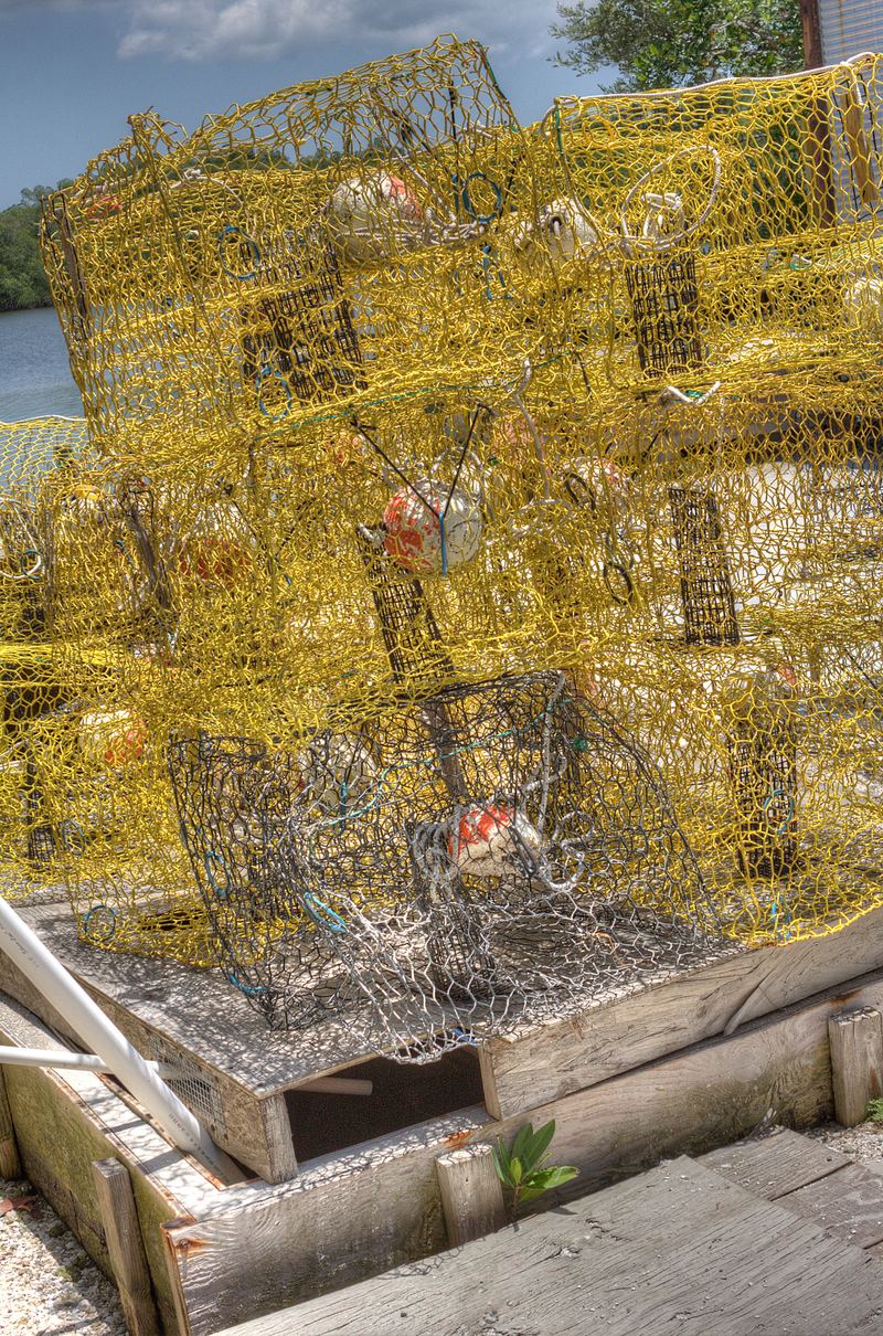 Stone crab traps stacked on a dock at Placida