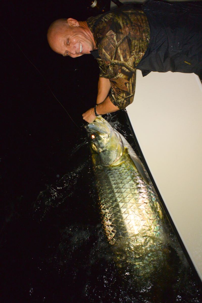 An angler holds a big tarpon boat-side before release off Sarasota