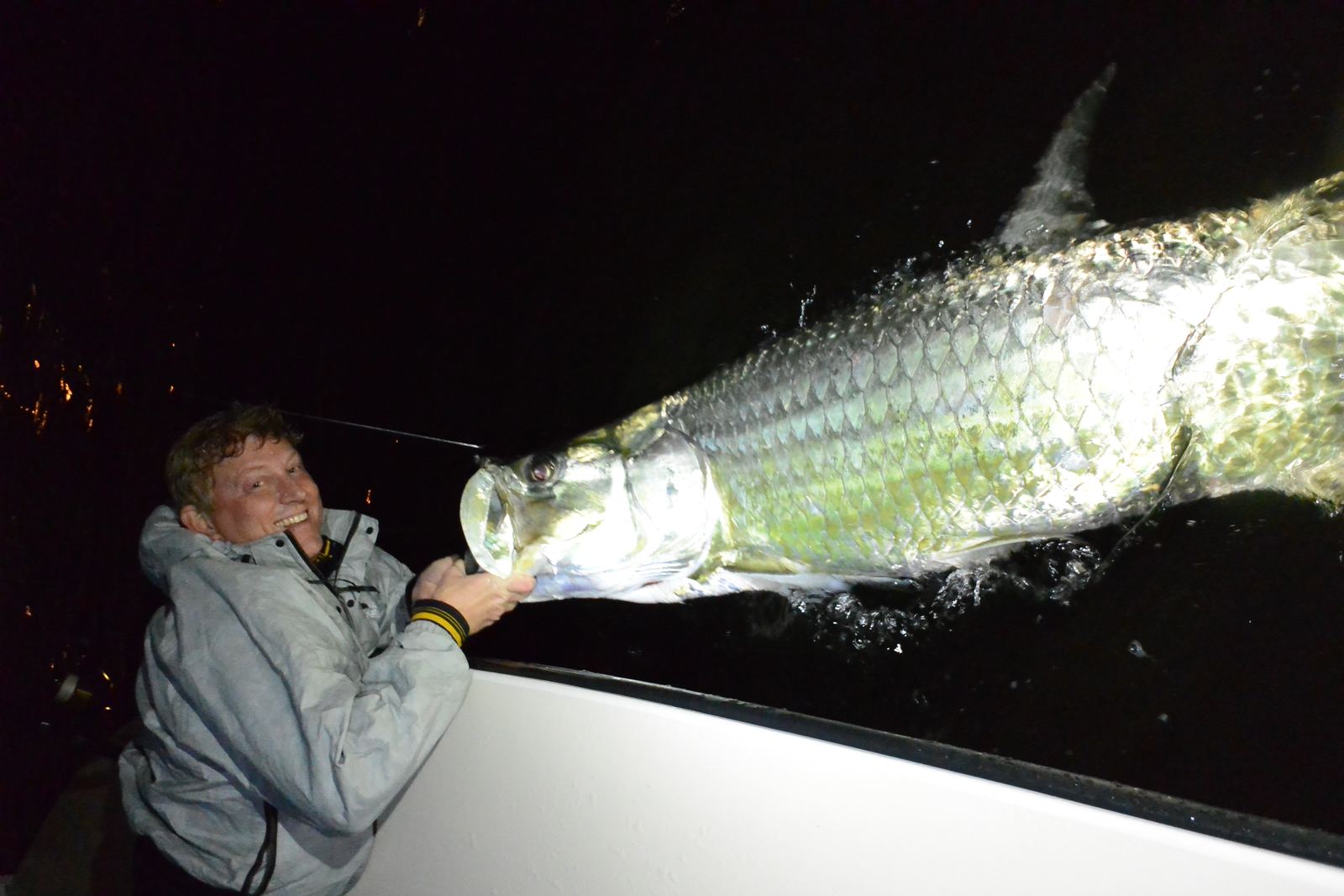 Tarpon — Sarasota night fishing charter