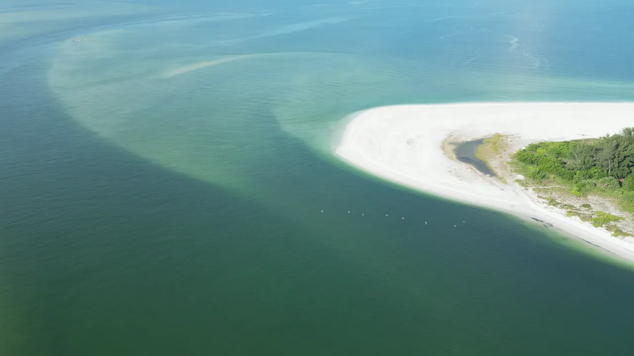 Out through the pass — the first king reefs sit a mile past the sandbar.