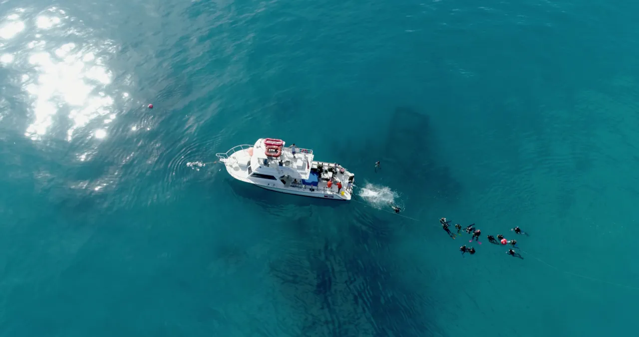 The fossil layer sits 18 to 35 feet down, a half-mile off the beach.
